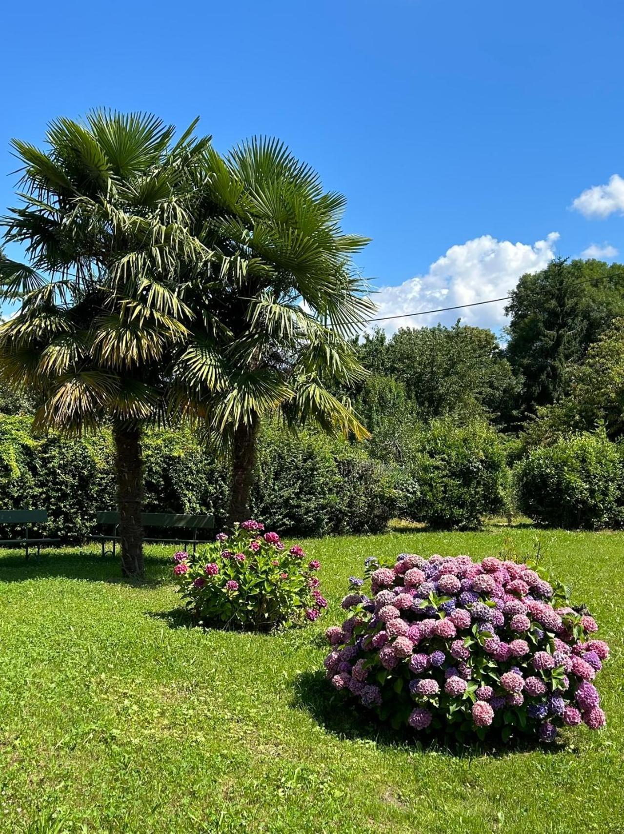 Villa Agnona Camere Боргосезия Экстерьер фото